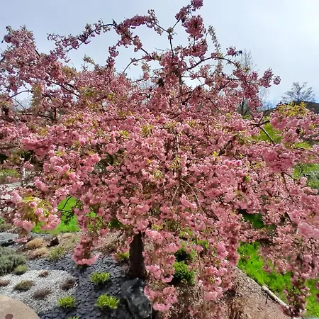 Prázdninový dům Ecoresponsable Le Ptit Nid Sous Le Chene Xamontarupt