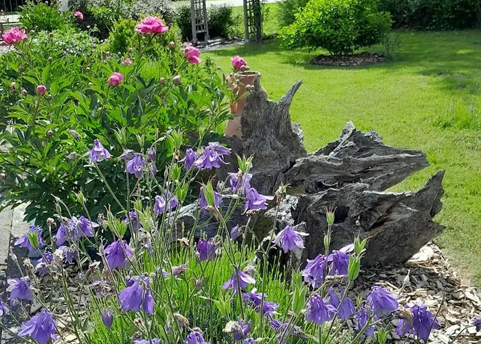 Ecoresponsable Le Ptit Nid Sous Le Chene בית נופש Xamontarupt