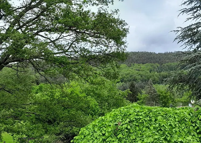 Ecoresponsable Le Ptit Nid Sous Le Chene Xamontarupt