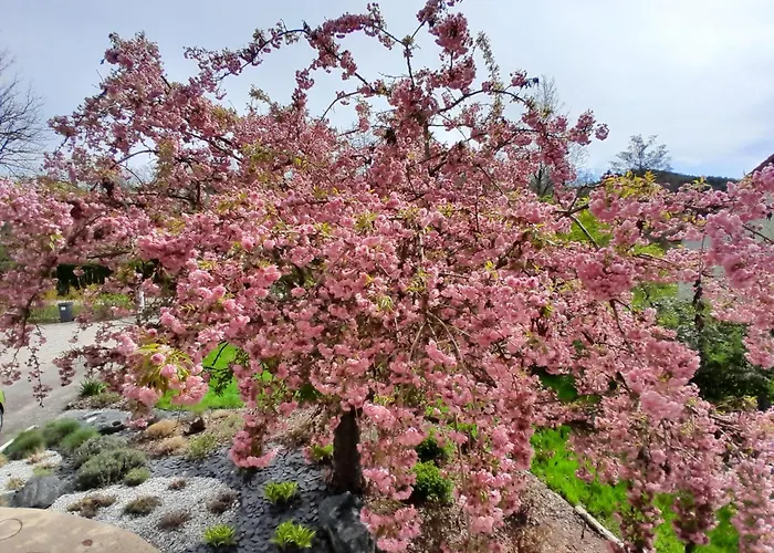 度假居 Ecoresponsable Le Ptit Nid Sous Le Chene 特恩顿